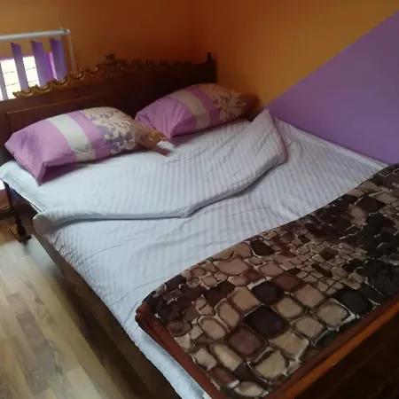 Alojamento de Turismo Selvagem Casa Dacilor Cluj-Napoca