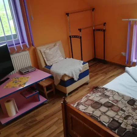 Alojamento de Turismo Selvagem Casa Dacilor