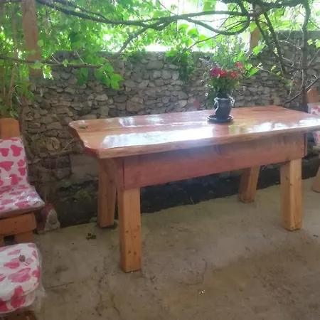 Casa Dacilor