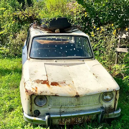 Casa Dacilor Alojamento de Turismo Selvagem Cluj-Napoca